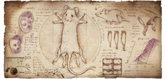Vitruvian Mouse